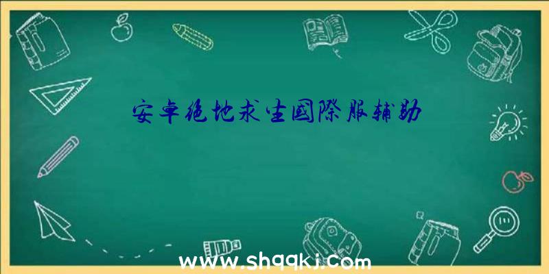 安卓绝地求生国际服辅助