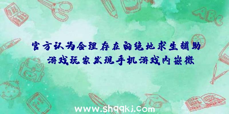 官方认为合理存在的绝地求生辅助！（游戏玩家发现手机游戏内嵌微自瞄、配备轻形枪托）