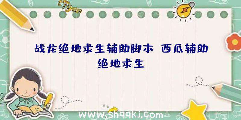 战龙绝地求生辅助脚本、西瓜辅助绝地求生