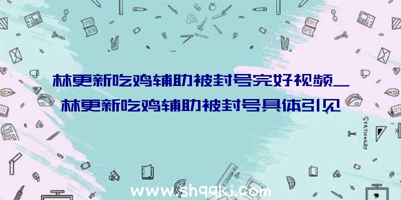 林更新吃鸡辅助被封号完好视频_林更新吃鸡辅助被封号具体引见