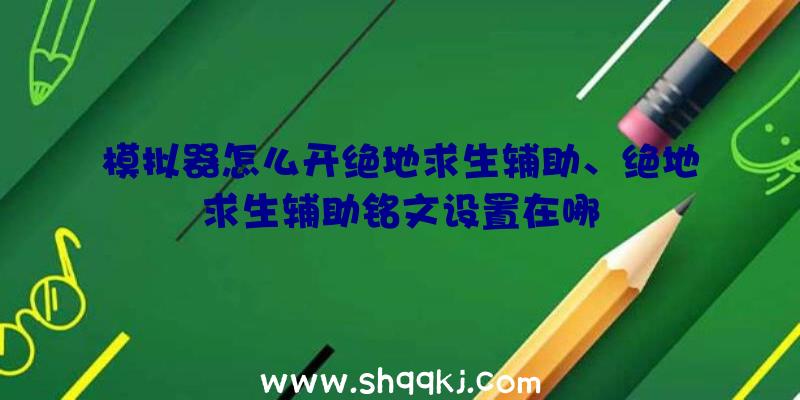 模拟器怎么开绝地求生辅助、绝地求生辅助铭文设置在哪