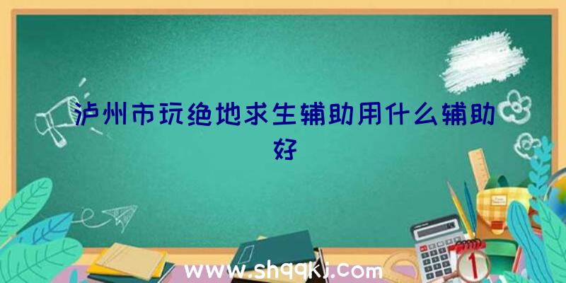 泸州市玩绝地求生辅助用什么辅助好