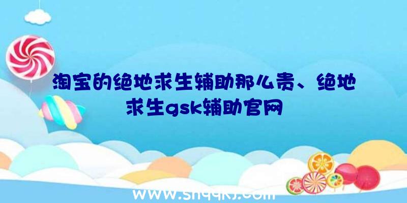 淘宝的绝地求生辅助那么贵、绝地求生gsk辅助官网