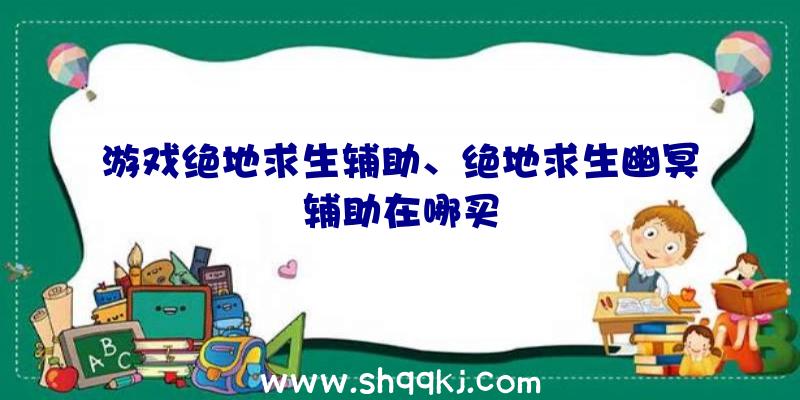 游戏绝地求生辅助、绝地求生幽冥辅助在哪买