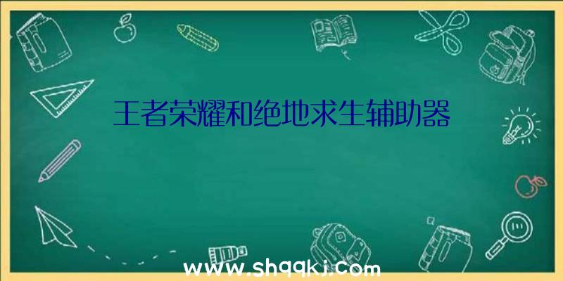 王者荣耀和绝地求生辅助器