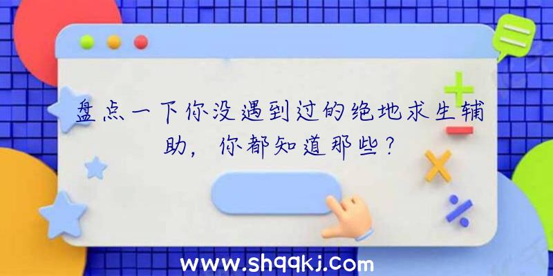 盘点一下你没遇到过的绝地求生辅助，你都知道那些？