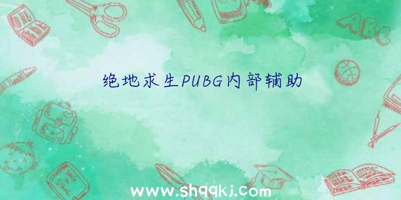 绝地求生PUBG内部辅助