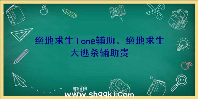 绝地求生Tone辅助、绝地求生大逃杀辅助贵