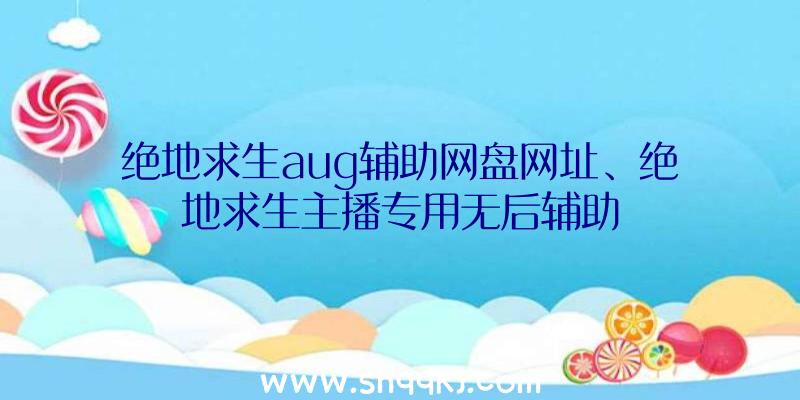 绝地求生aug辅助网盘网址、绝地求生主播专用无后辅助