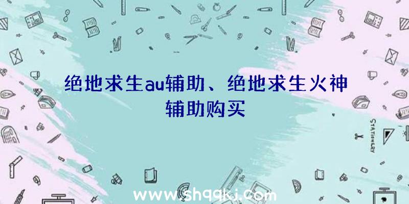 绝地求生au辅助、绝地求生火神辅助购买