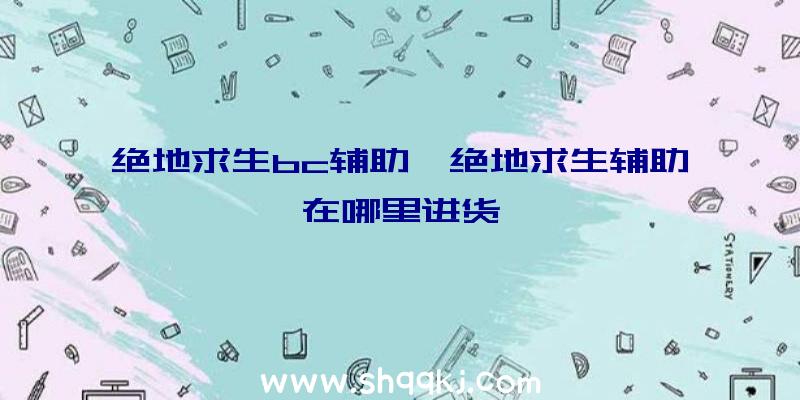 绝地求生bc辅助、绝地求生辅助在哪里进货