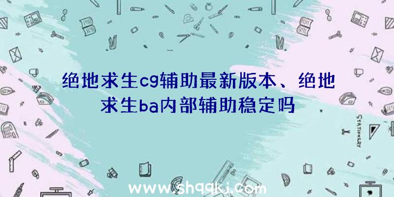 绝地求生cg辅助最新版本、绝地求生ba内部辅助稳定吗