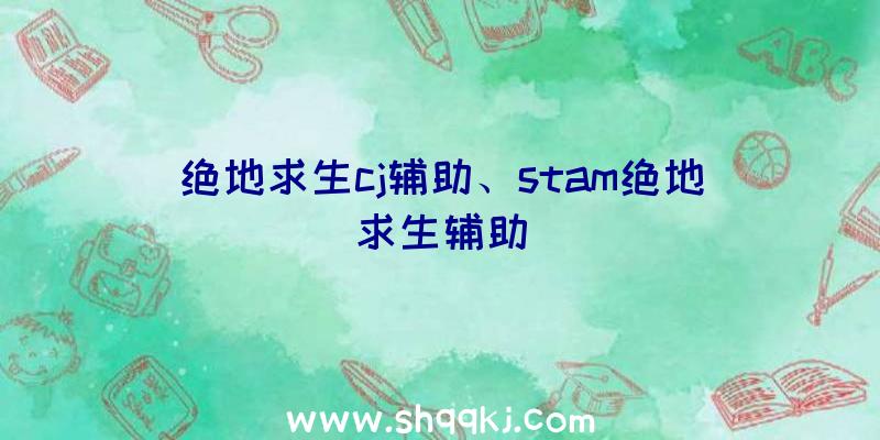 绝地求生cj辅助、stam绝地求生辅助