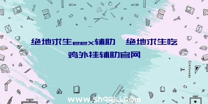 绝地求生eex辅助、绝地求生吃鸡外挂辅助官网