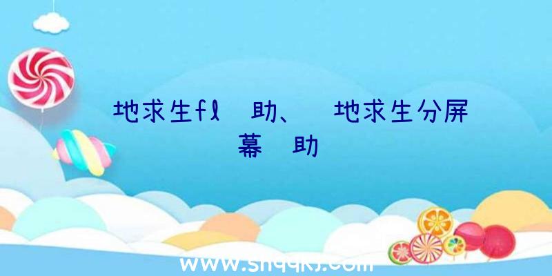 绝地求生fl辅助、绝地求生分屏幕辅助