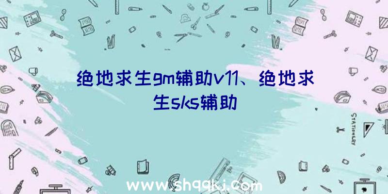 绝地求生gm辅助v11、绝地求生sks辅助