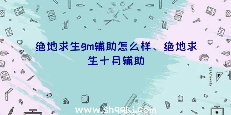 绝地求生gm辅助怎么样、绝地求生十月辅助