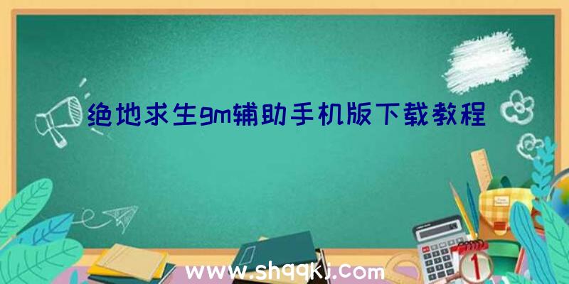 绝地求生gm辅助手机版下载教程