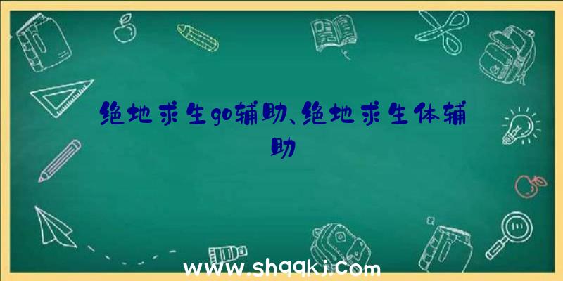 绝地求生go辅助、绝地求生体辅助