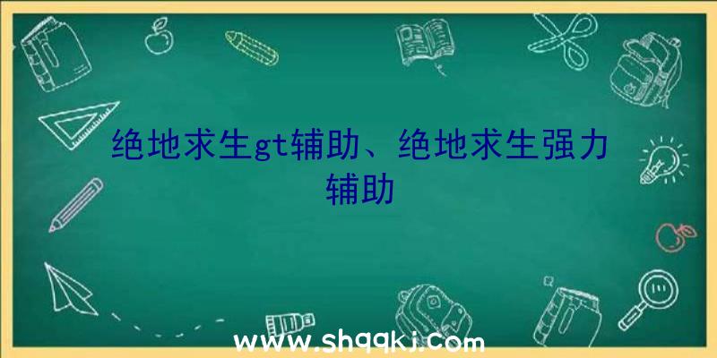 绝地求生gt辅助、绝地求生强力辅助