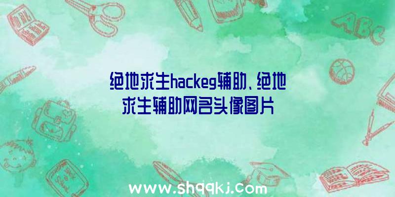 绝地求生hackeg辅助、绝地求生辅助网名头像图片