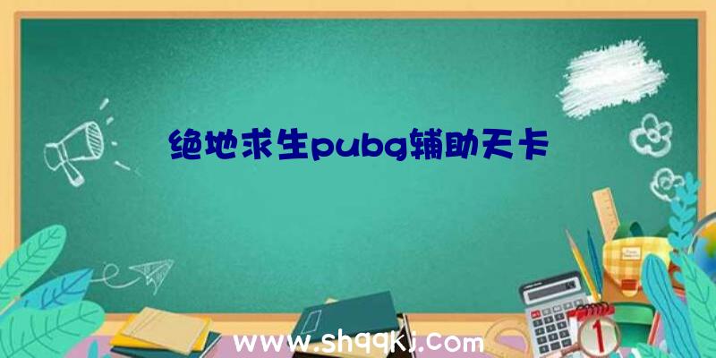 绝地求生pubg辅助天卡