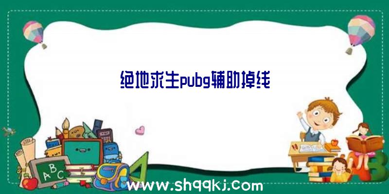 绝地求生pubg辅助掉线