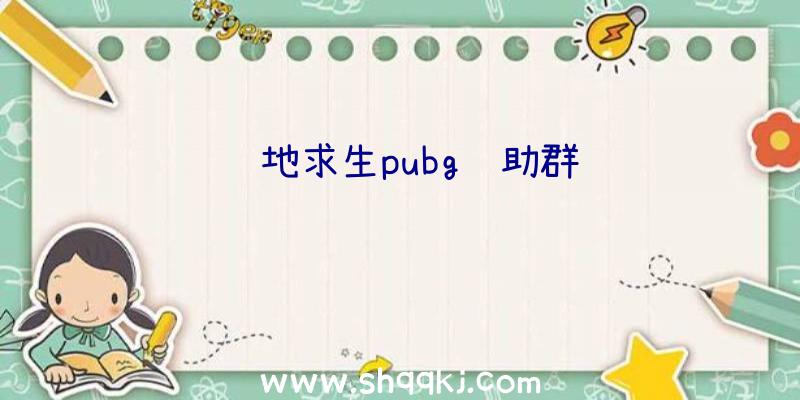 绝地求生pubg辅助群