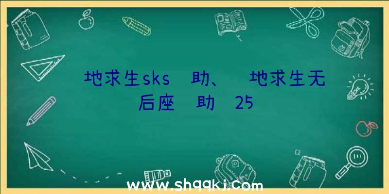 绝地求生sks辅助、绝地求生无后座辅助过25