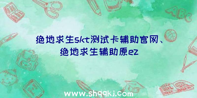 绝地求生skt测试卡辅助官网、绝地求生辅助原ez