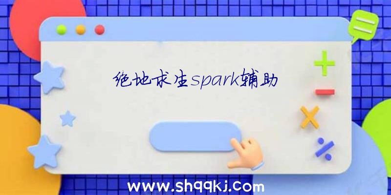 绝地求生spark辅助