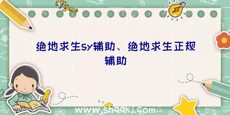 绝地求生sy辅助、绝地求生正规辅助