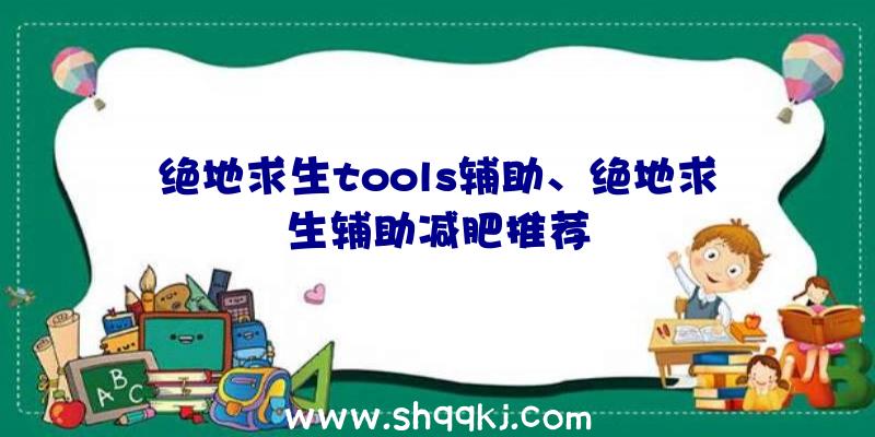 绝地求生tools辅助、绝地求生辅助减肥推荐