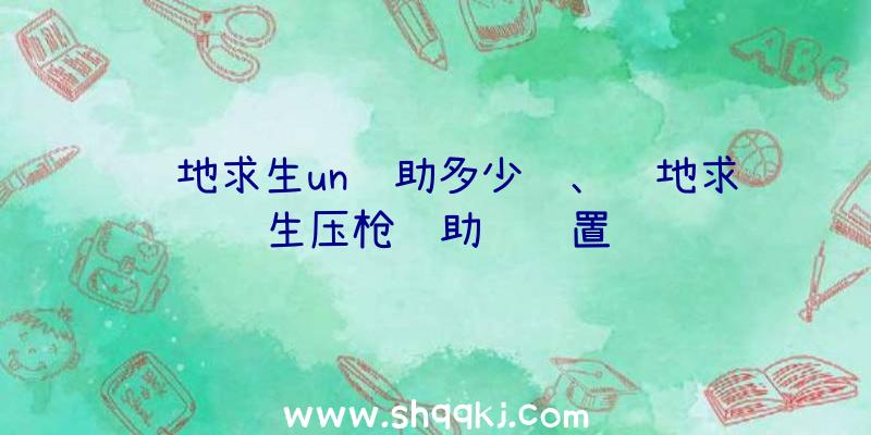 绝地求生un辅助多少钱、绝地求生压枪辅助键设置