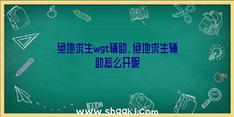 绝地求生wgt辅助、绝地求生辅助怎么开呢