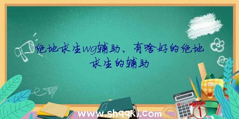 绝地求生wg辅助、有啥好的绝地求生的辅助