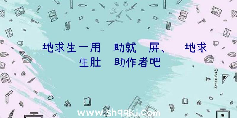 绝地求生一用辅助就蓝屏、绝地求生肚辅助作者吧