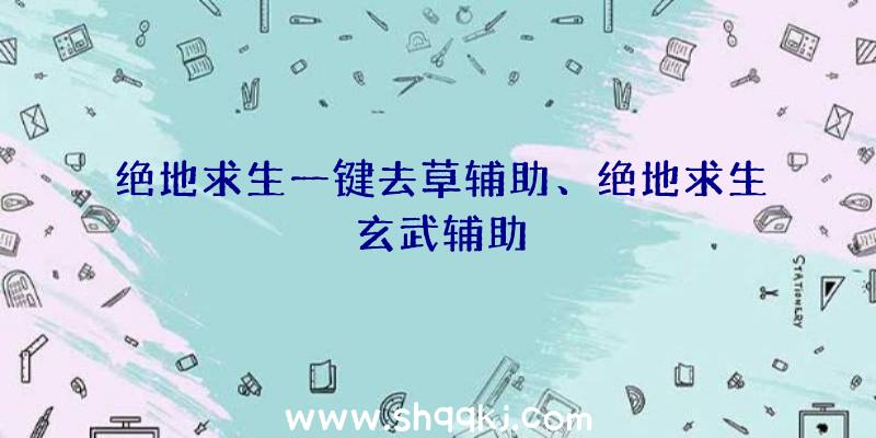 绝地求生一键去草辅助、绝地求生玄武辅助