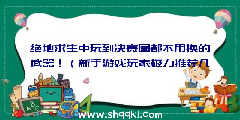 绝地求生中玩到决赛圈都不用换的武器！（新手游戏玩家极力推荐几类很容易新手入门的武器装备）