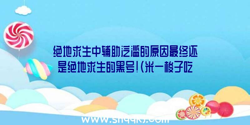 绝地求生中辅助泛滥的原因最终还是绝地求生的黑号！（米一梭子吃鸡压枪速射暴头打死,Q叔沉默很久,憋出两三句,便是）