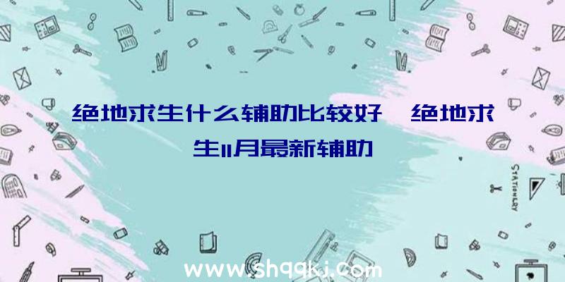 绝地求生什么辅助比较好、绝地求生11月最新辅助