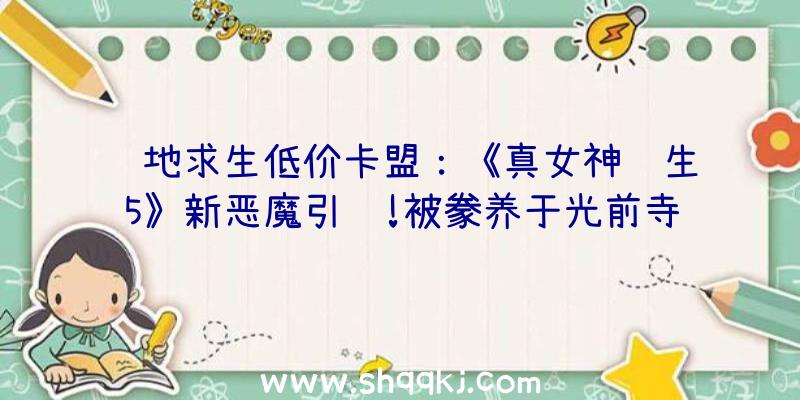 绝地求生低价卡盟：《真女神转生5》新恶魔引见!被豢养于光前寺中的灵犬