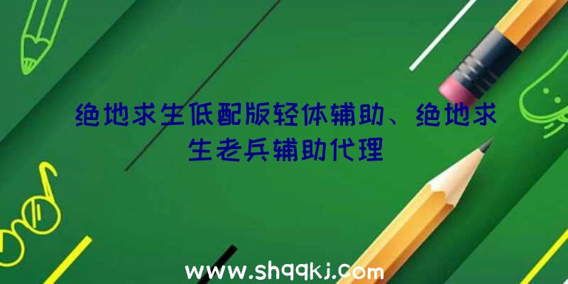 绝地求生低配版轻体辅助、绝地求生老兵辅助代理