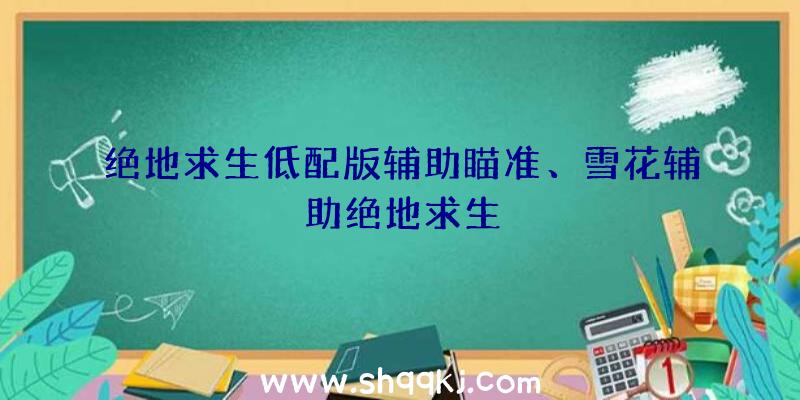 绝地求生低配版辅助瞄准、雪花辅助绝地求生