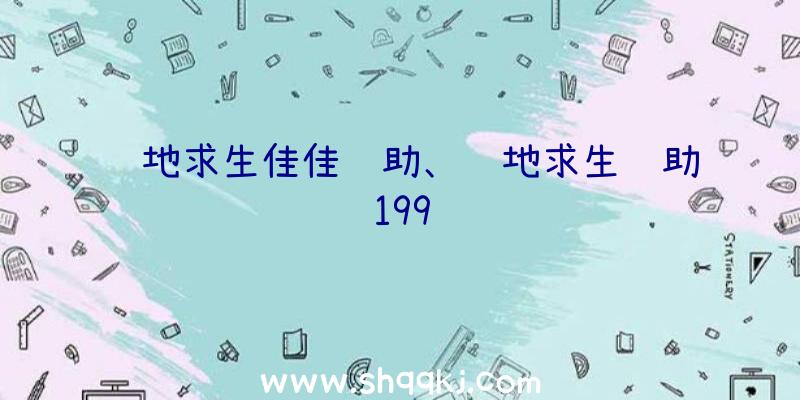 绝地求生佳佳辅助、绝地求生辅助199