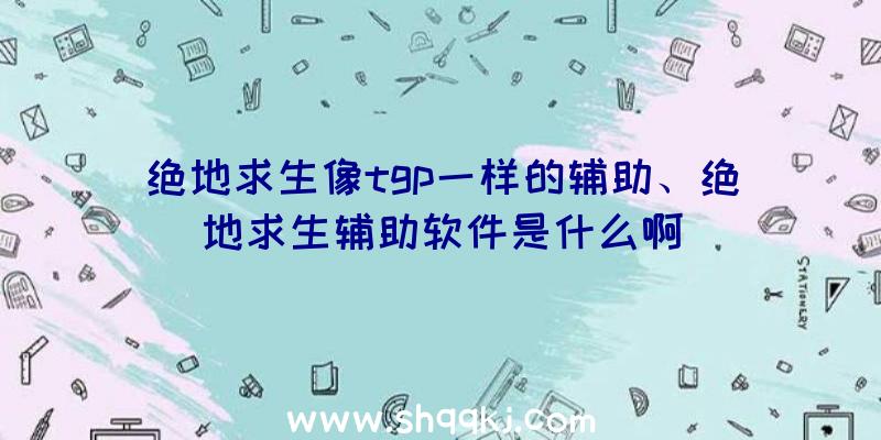 绝地求生像tgp一样的辅助、绝地求生辅助软件是什么啊