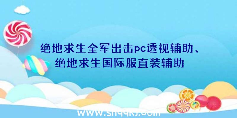 绝地求生全军出击pc透视辅助、绝地求生国际服直装辅助