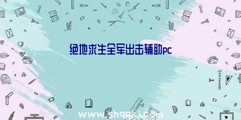 绝地求生全军出击辅助pc