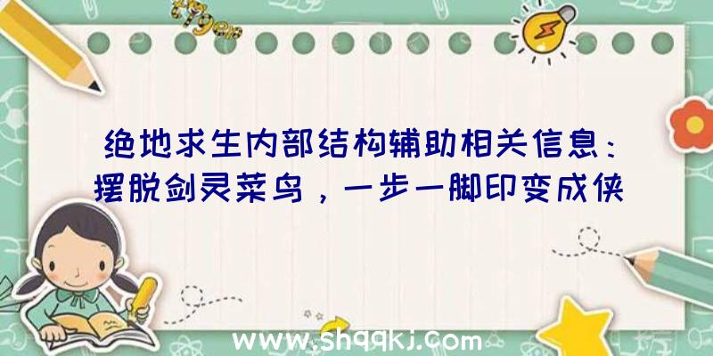 绝地求生内部结构辅助相关信息：摆脱剑灵菜鸟，一步一脚印变成侠客