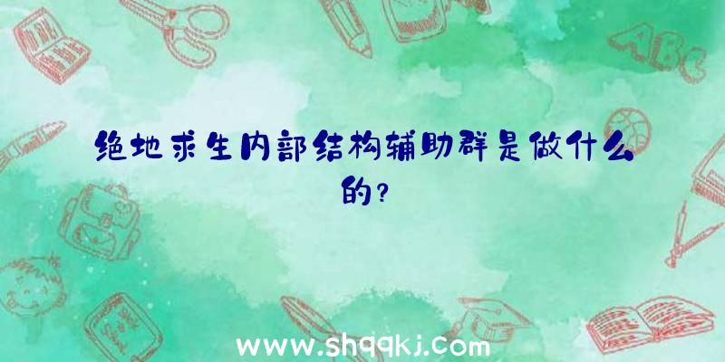 绝地求生内部结构辅助群是做什么的？